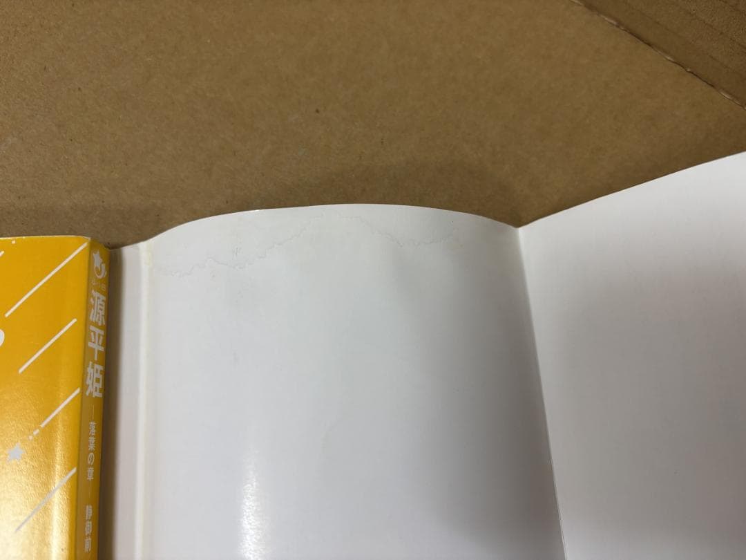 戦国姫など 25冊セット　集英社みらい文庫　藤咲 あゆな