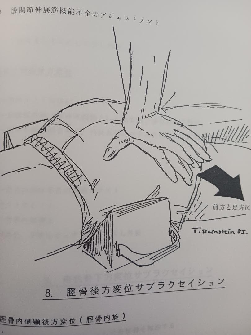 SOT 四肢テクニック と EXTREMITY TECHNIQUEの２冊セット