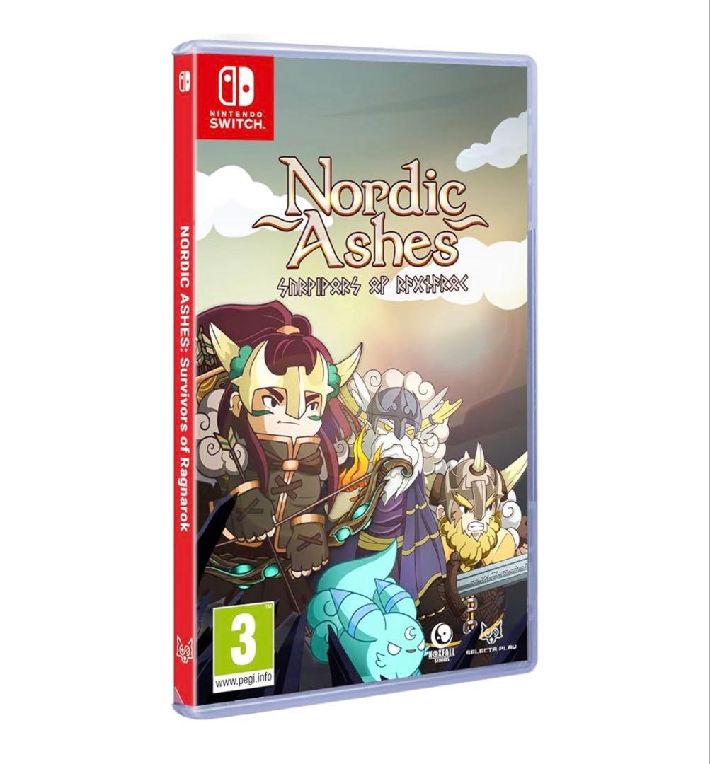 Nintendo Switch Nordic Ashes switch