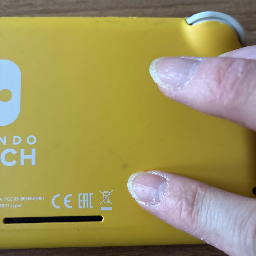Nintendo Switch Lite　あつ森セット