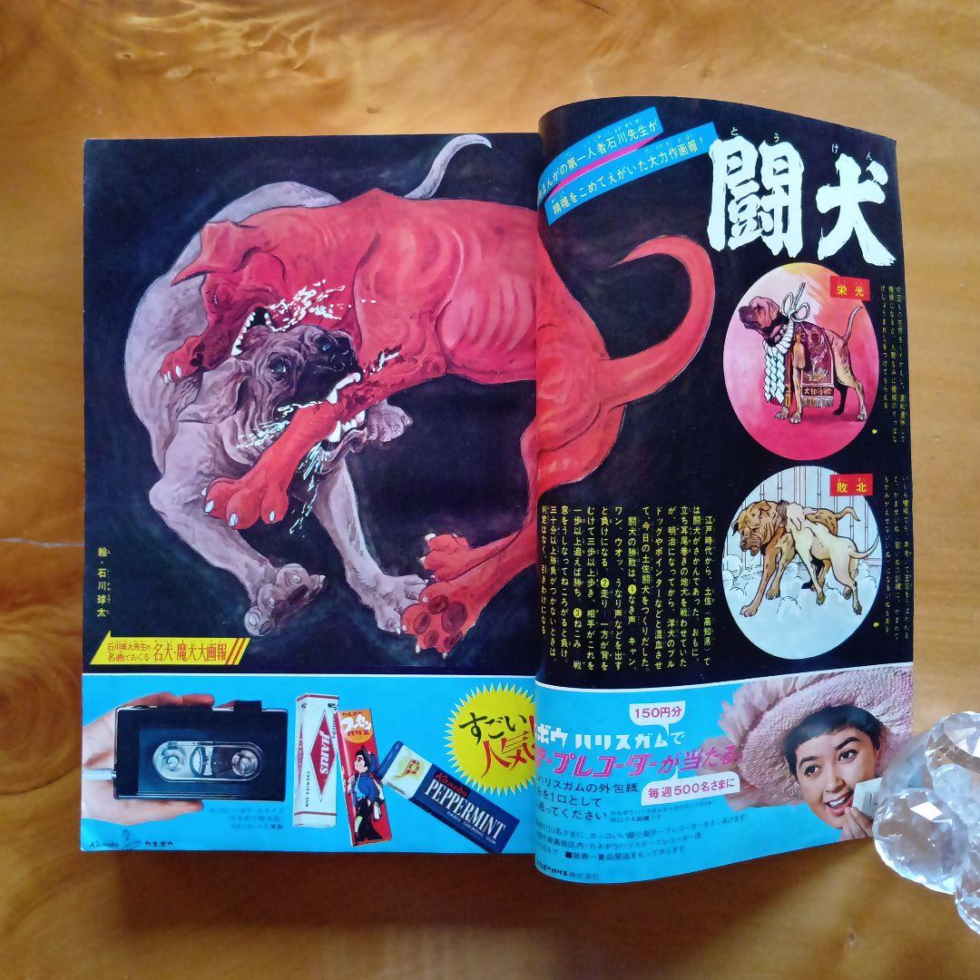 週刊少年マガジン1966年24号／ウルトラQ／昭和レトロ／希少