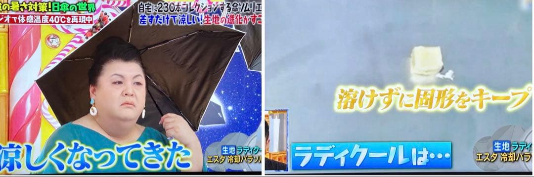 Radi-Cool RCP2 自動開閉折りたたみ傘 オフホワイト