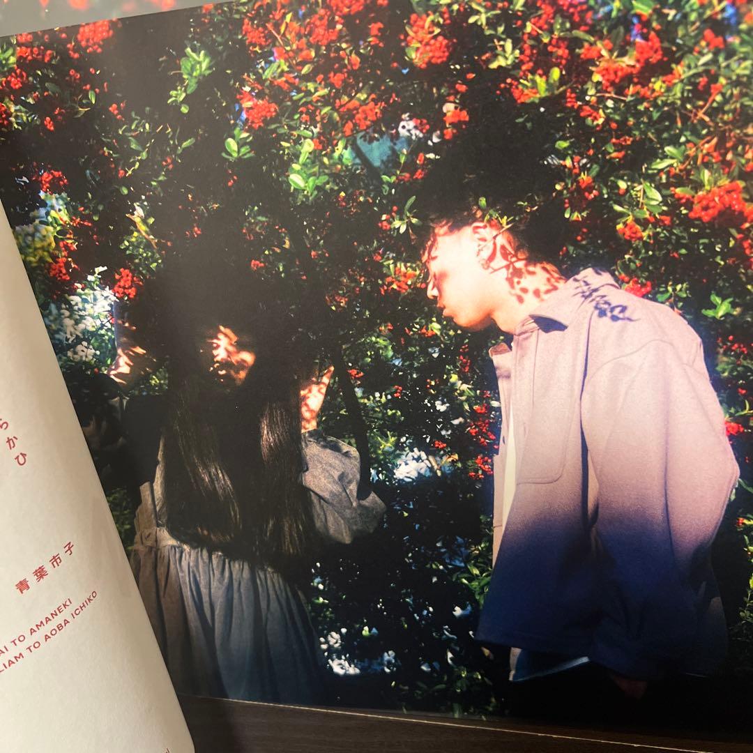 からかひ と あまねき12\"+フォトブック Sweet Williamと青葉市子