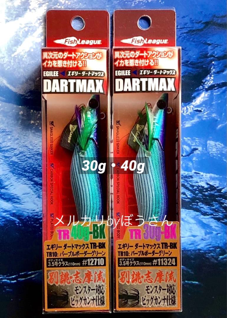 エギリー　ダートマックスTR-BK TR10 パープルボーダーグリーン　2本新品