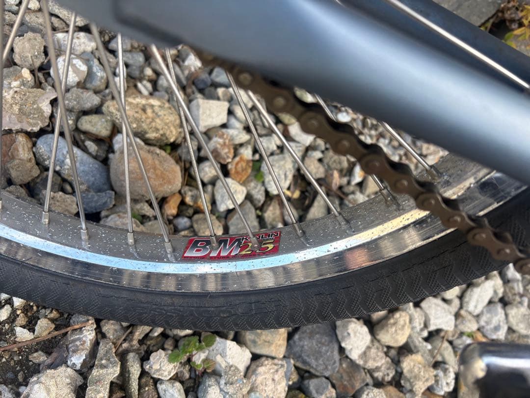 ARES BIKES BMX 20インチ　Wisteriaさん専用