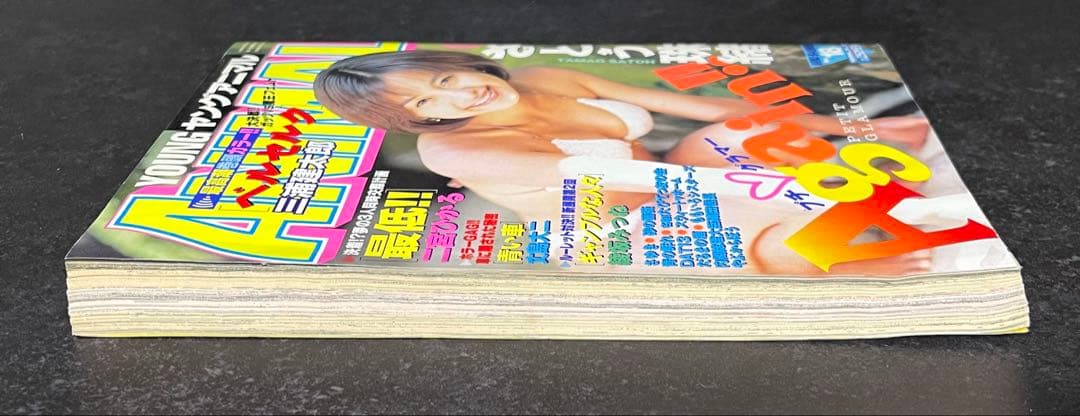 ●ヤングアニマル 1996年 No.18 ●巻頭カラー···ベルセルク 第87話