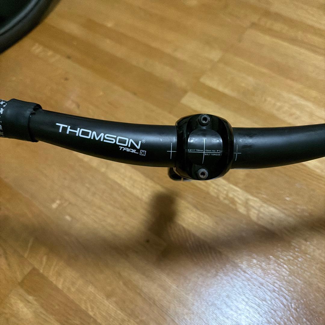 トムソン　ステム　のみ