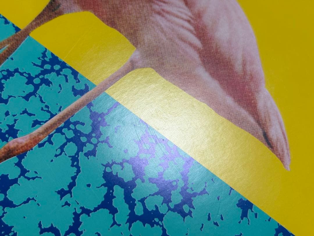WEDDING MESSAGE　サザンオールスターズ　桑田佳祐 原由子　レコード