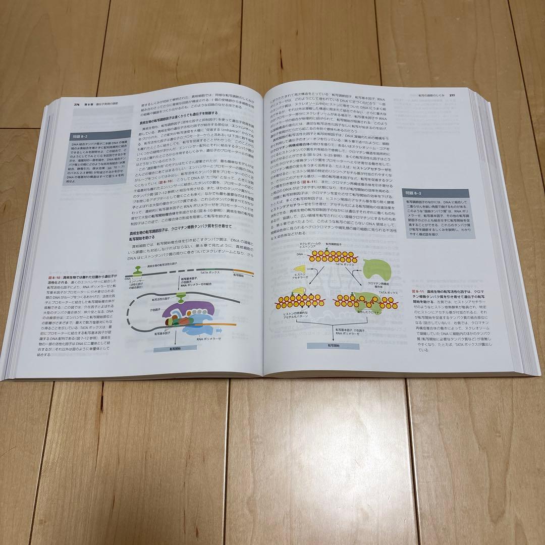 Essential Cell Biology 第5版　生物　ほぼ未使用