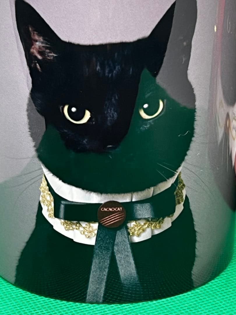 CACAO CAT❣️2026年 　　　　　　　カレンダー＆カップ