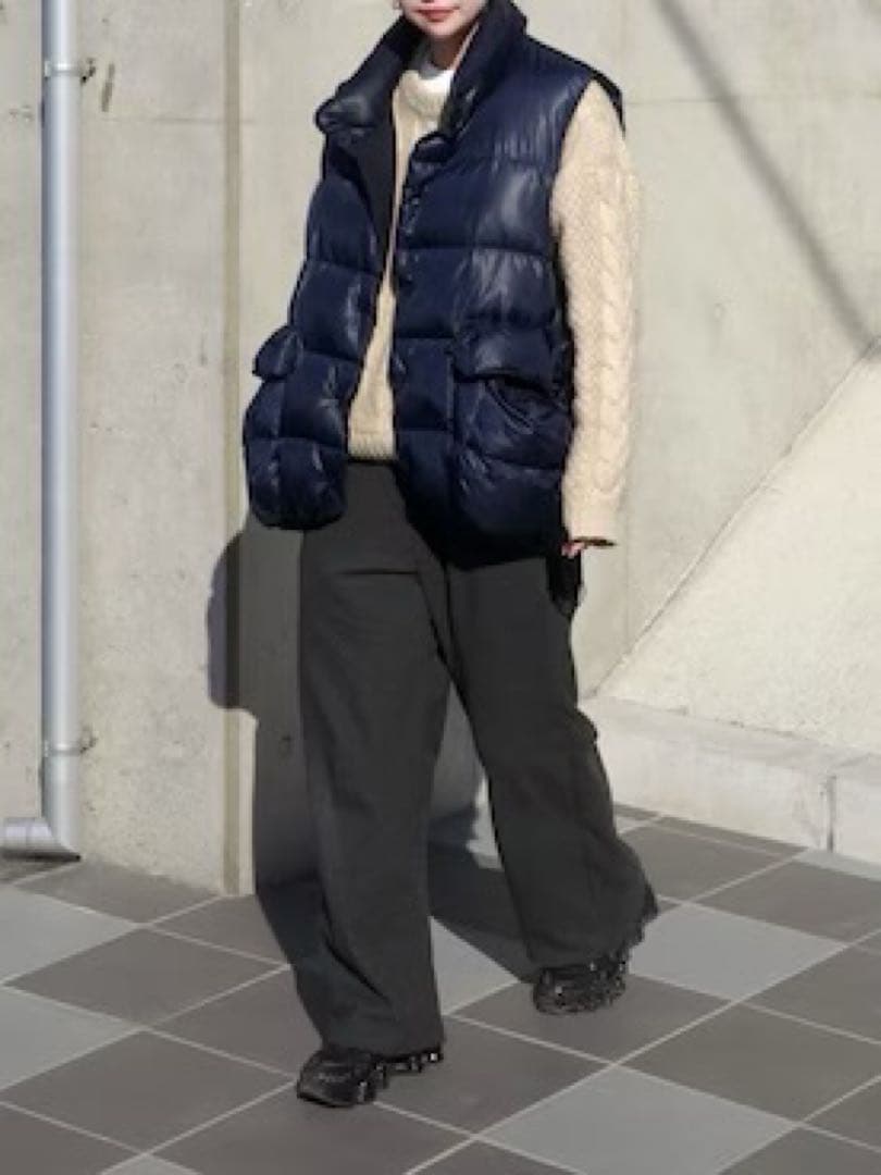 DAIWAPIER39 TECHBACKPACKERDOWNVEST サイズM