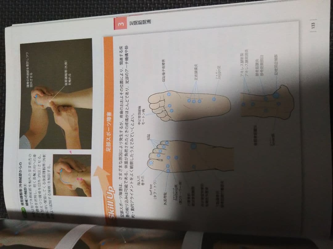 運動療法のための触診技術　上肢下肢　まとめ売り　セット　バラ売り可　理学療法士