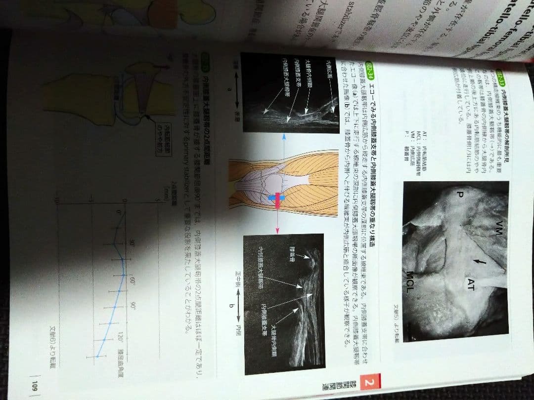 運動療法のための触診技術　上肢下肢　まとめ売り　セット　バラ売り可　理学療法士