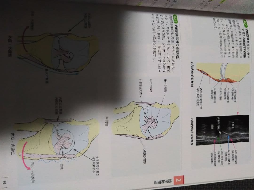 運動療法のための触診技術　上肢下肢　まとめ売り　セット　バラ売り可　理学療法士