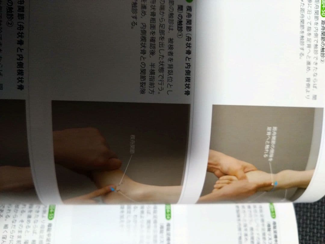 運動療法のための触診技術　上肢下肢　まとめ売り　セット　バラ売り可　理学療法士