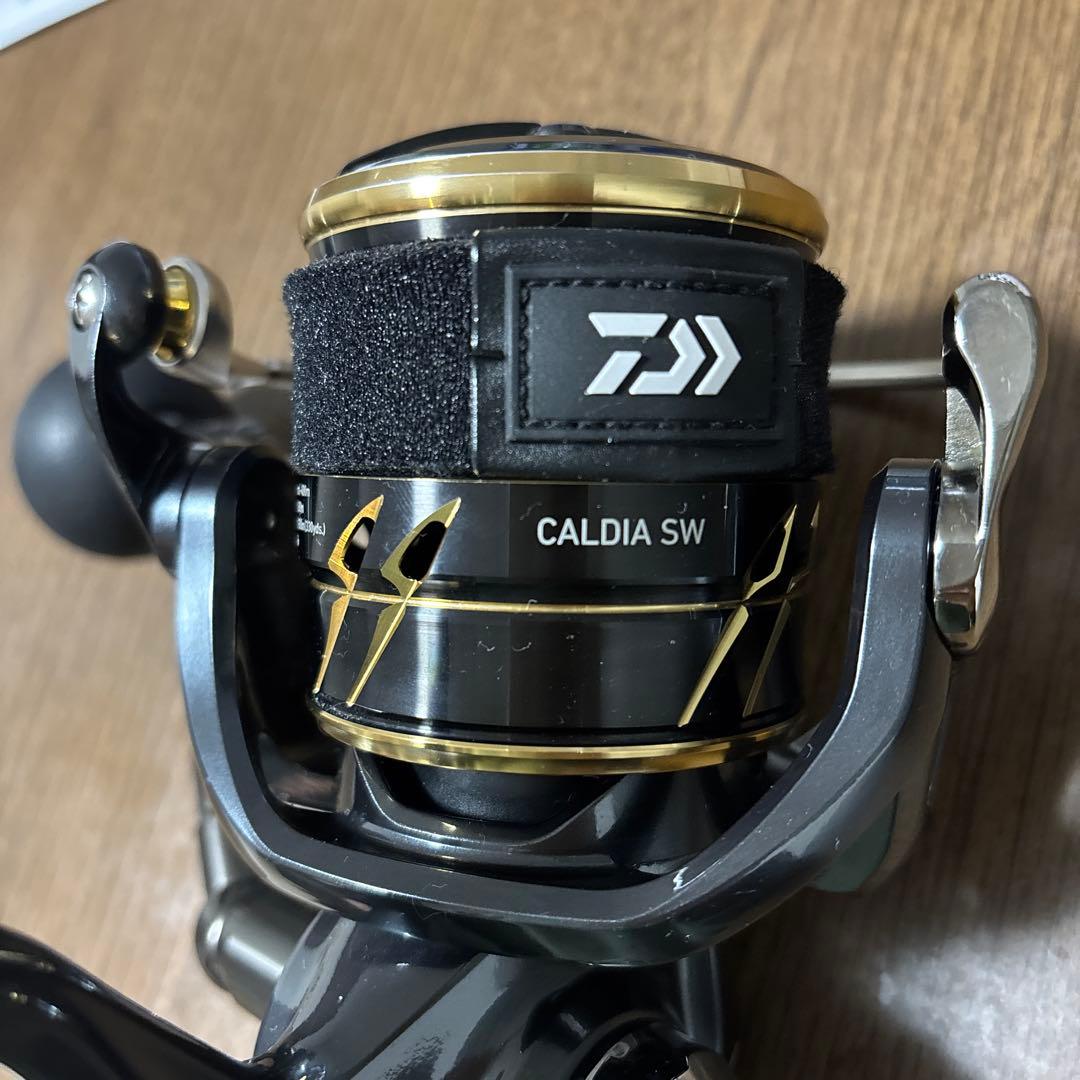 22カルディア sw 8000-H