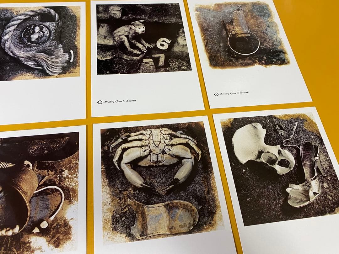 希少 PIXIES 名盤 Doolittle Nine Postcards
