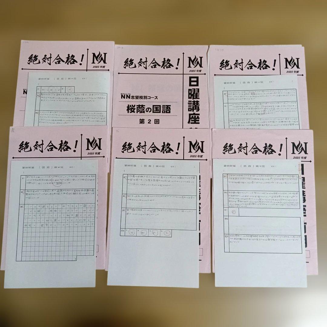 早稲アカ　NN 桜蔭　日曜日講座前期　4科目　2025