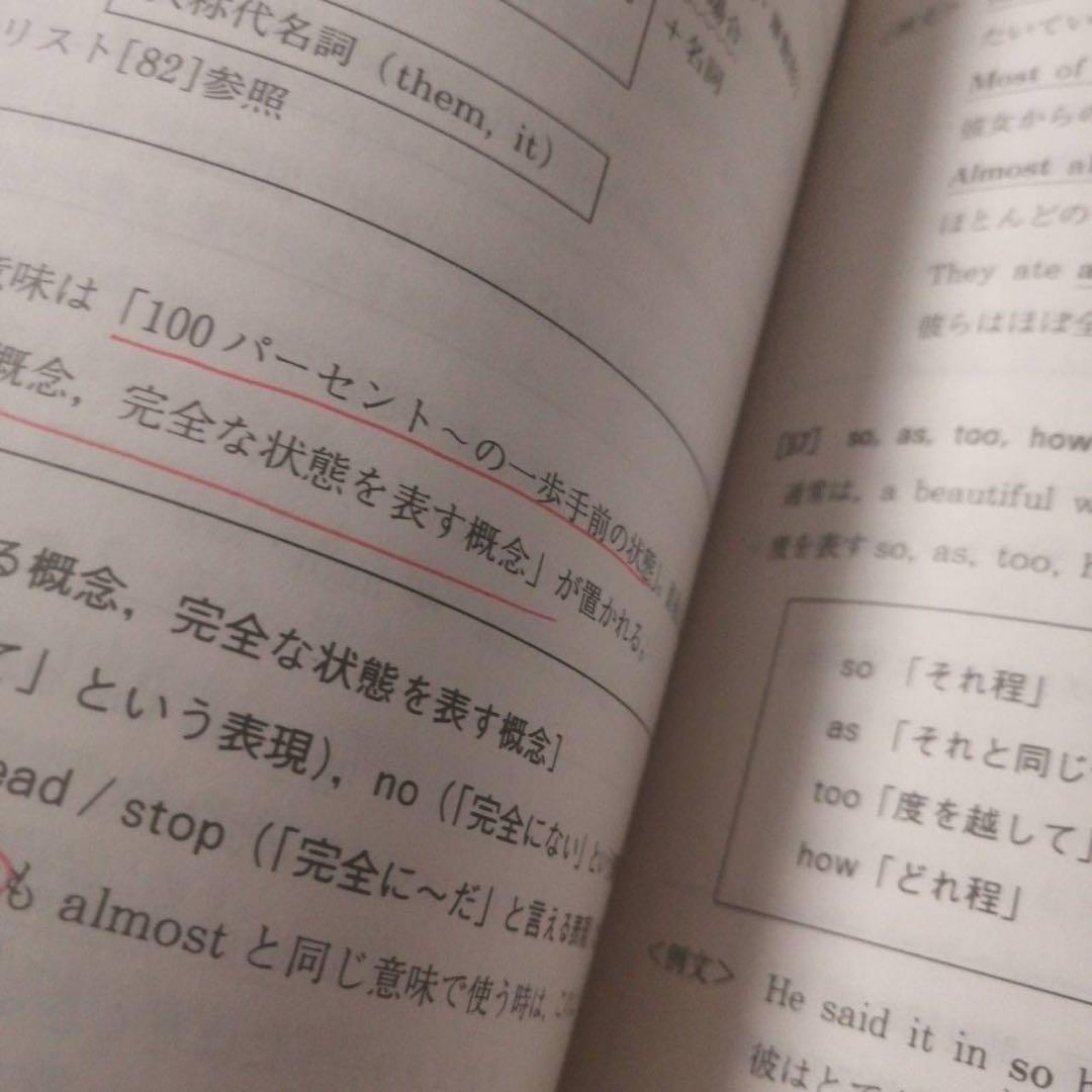 代ゼミテキスト難関大攻略perfect English 佐々木和彦冬期直前講習会