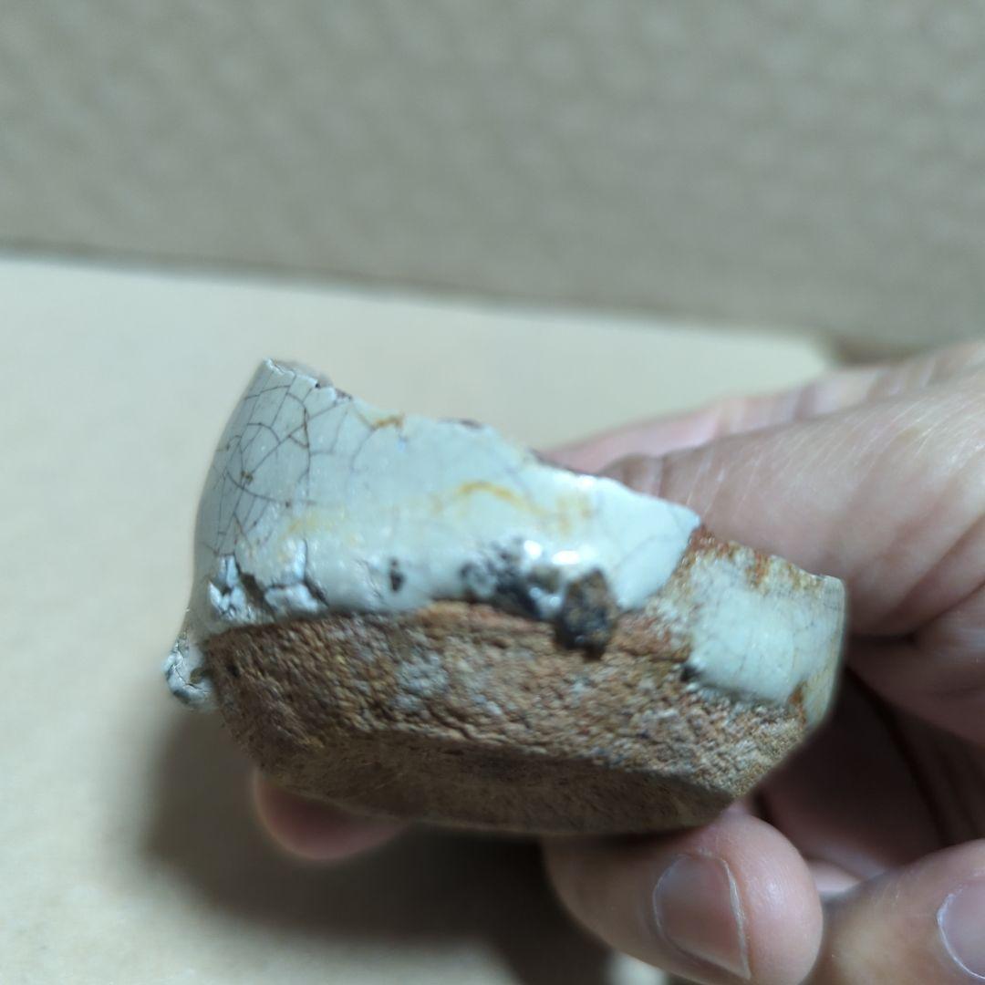 古唐津陶片