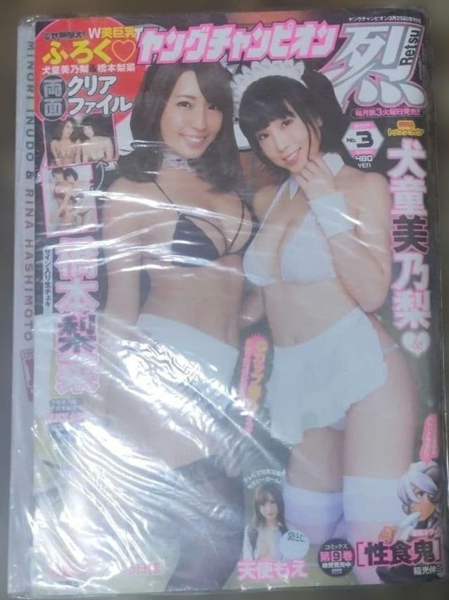 放課後ていぼう日誌 新連載　連載開始号　ヤングチャンピオン烈　新品未開封