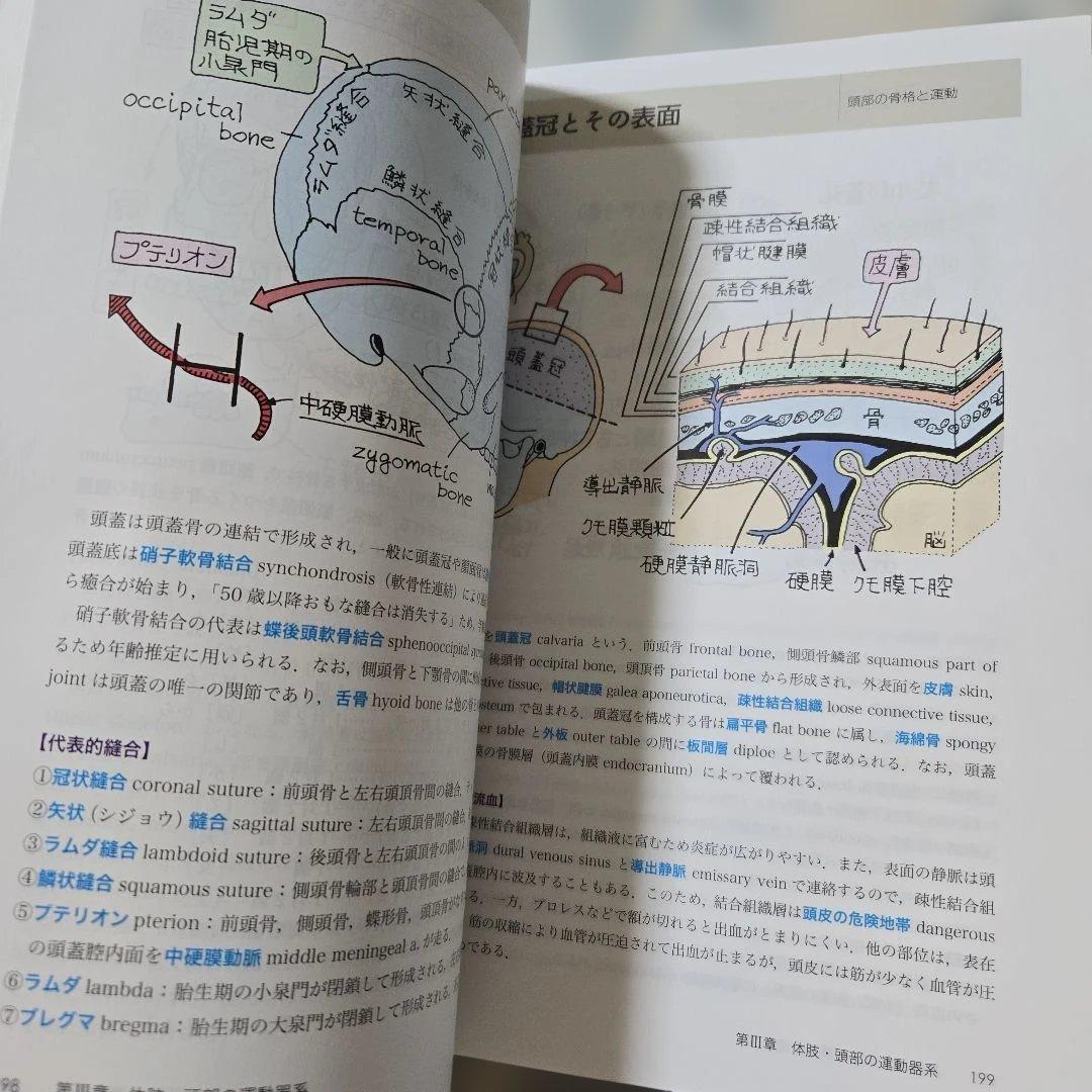 新品　イラスト解剖学 第10版