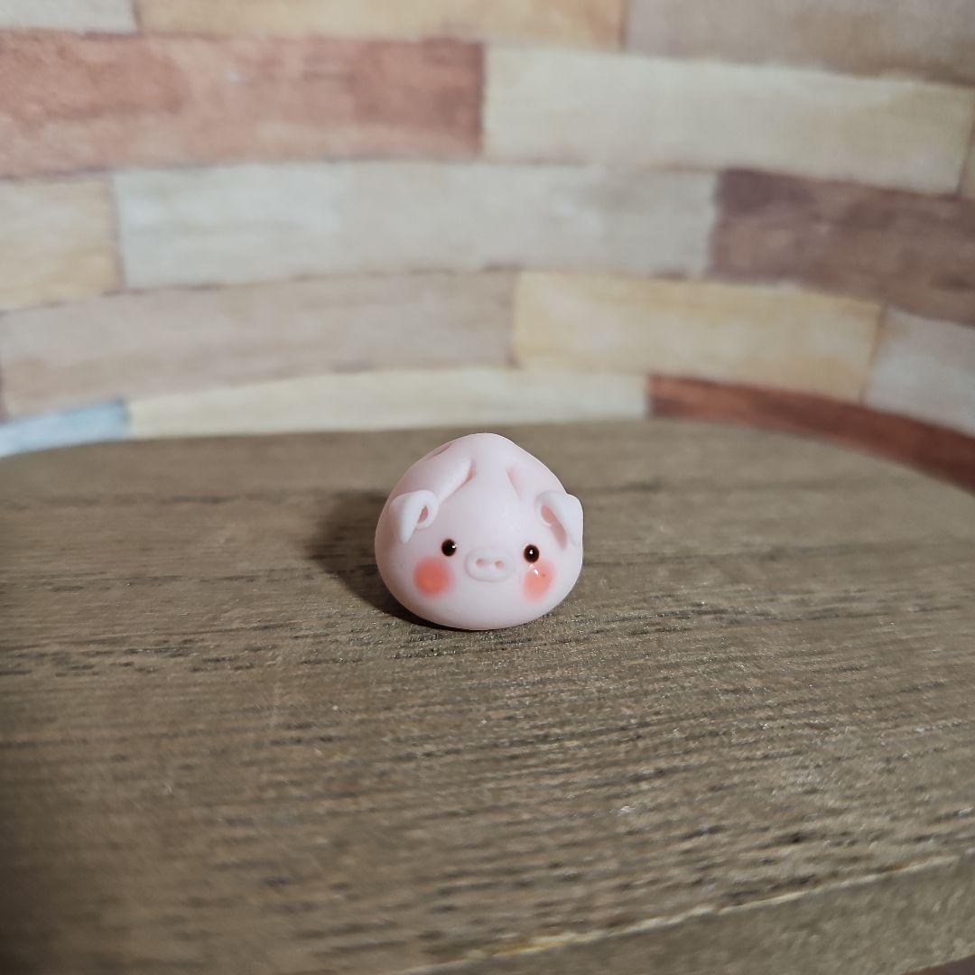 トクラです。