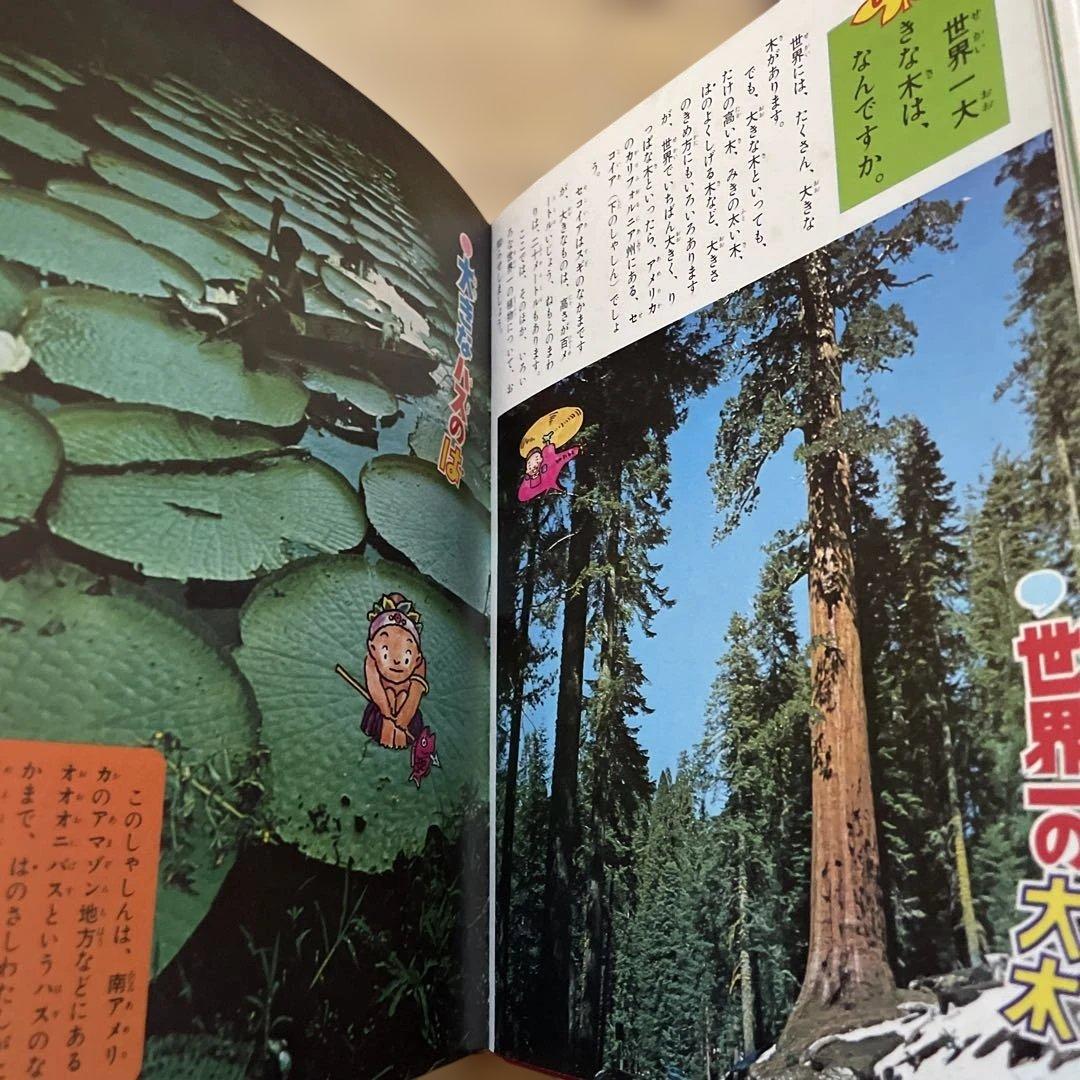 植物のふしぎ　なぜなに学習図鑑　小学館