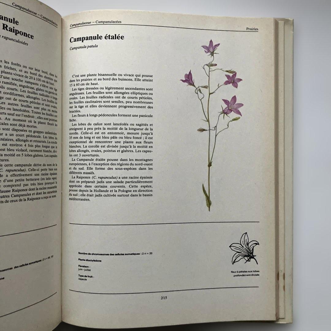 PLANTES SAUVAGES 256イラスト 洋書