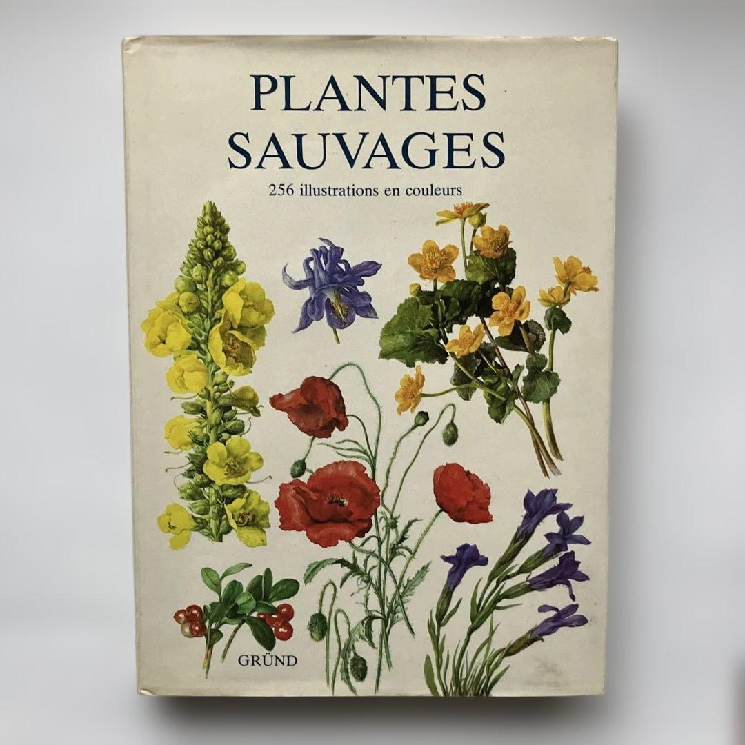 PLANTES SAUVAGES 256イラスト 洋書