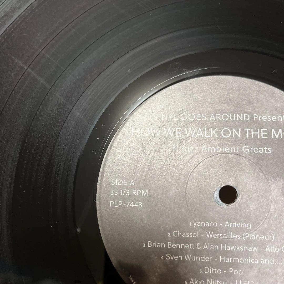 【レア】廃盤◆HOW WE WALK ON THE MOON レコード LP