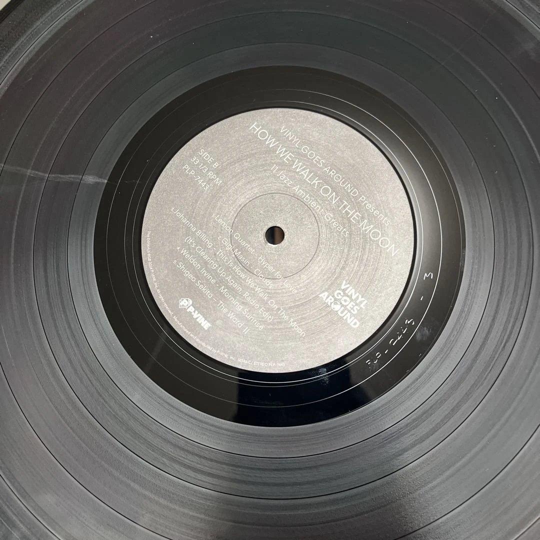 【レア】廃盤◆HOW WE WALK ON THE MOON レコード LP