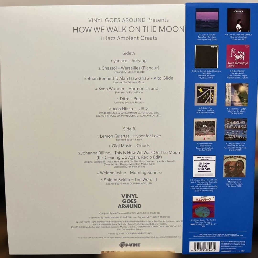 【レア】廃盤◆HOW WE WALK ON THE MOON レコード LP