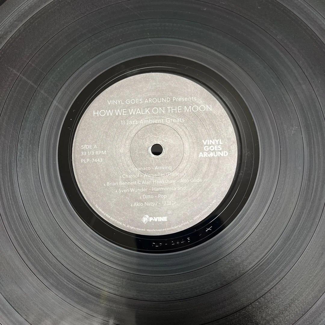 【レア】廃盤◆HOW WE WALK ON THE MOON レコード LP