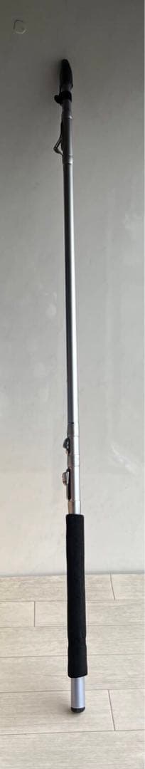 DAIWA REGAL ISO 1-53 I　釣り竿