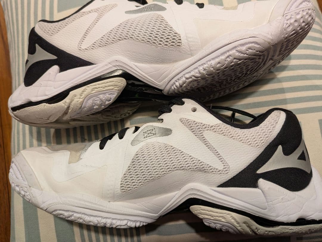 Mizuno バレーボール3E 24.0 wave lightning z8