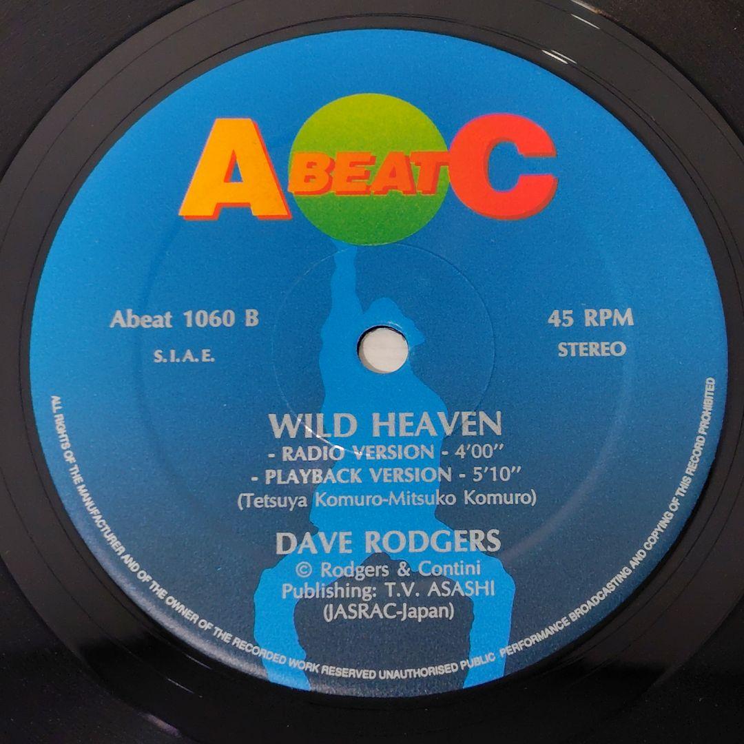 Dave Rodgers / Wild Heaven 12インチ ユーロビート