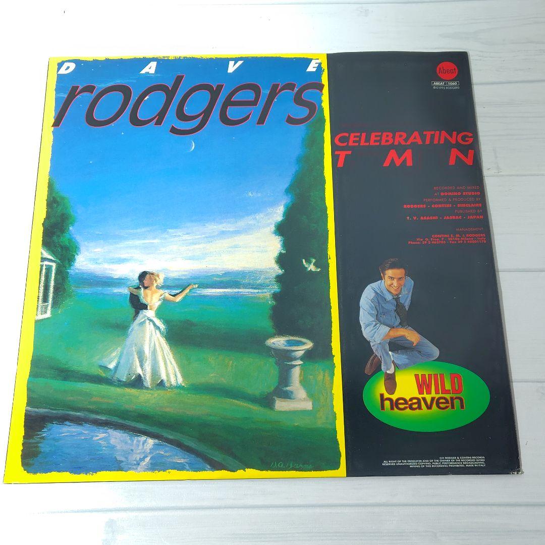 Dave Rodgers / Wild Heaven 12インチ ユーロビート