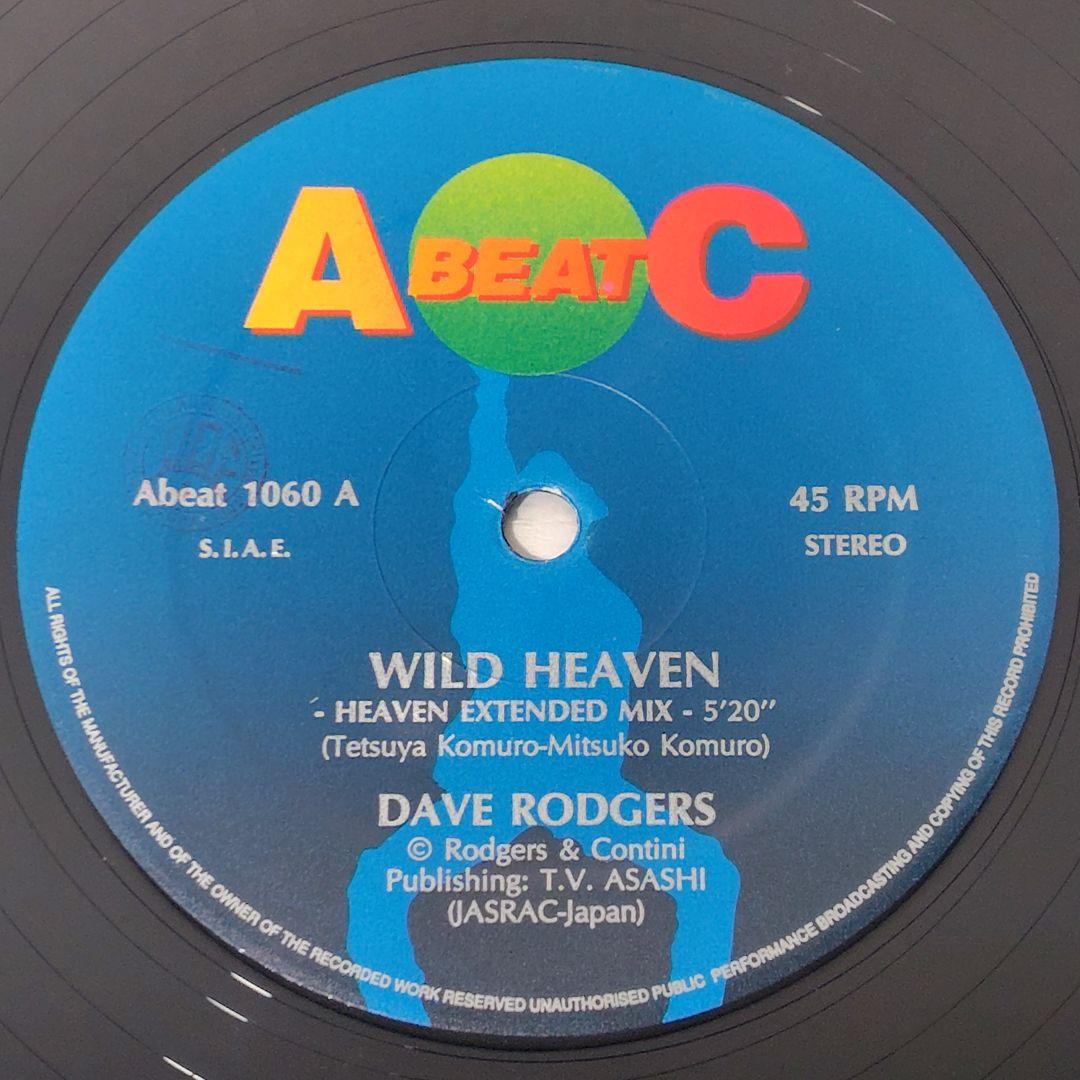 Dave Rodgers / Wild Heaven 12インチ ユーロビート