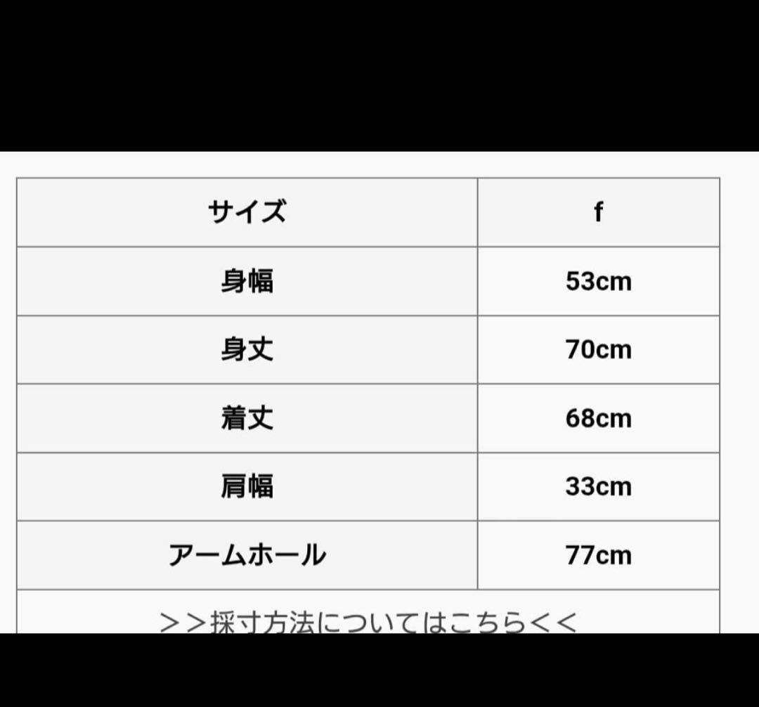 mizuiro ind』ミズイロインド ディープVネック ワイドベスト