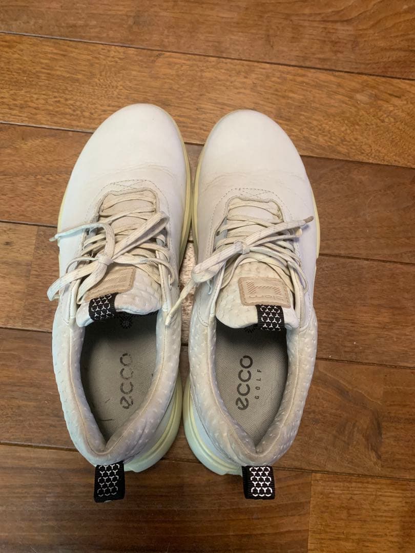 エコーＥＣＣＯ　ＧＯＬＦ　ＢＩＯＭ　Ｈ4 スパイクレス　ゴルフシューズ　40