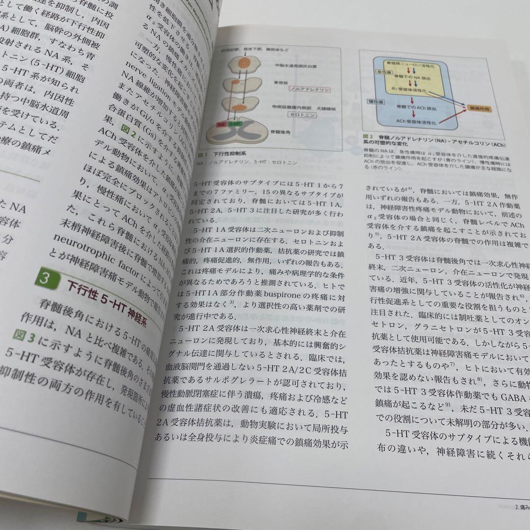 痛みの薬物治療