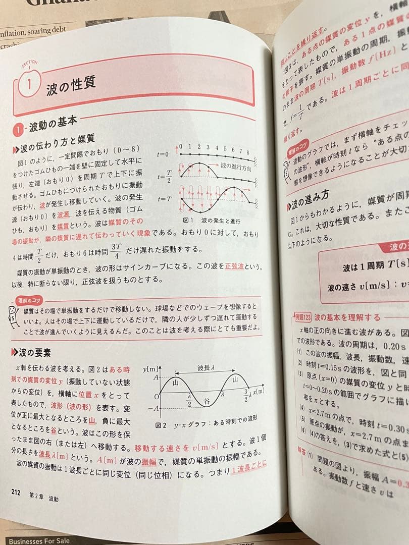 【大学入試】赤本プラス ちゃんと身につく物理
