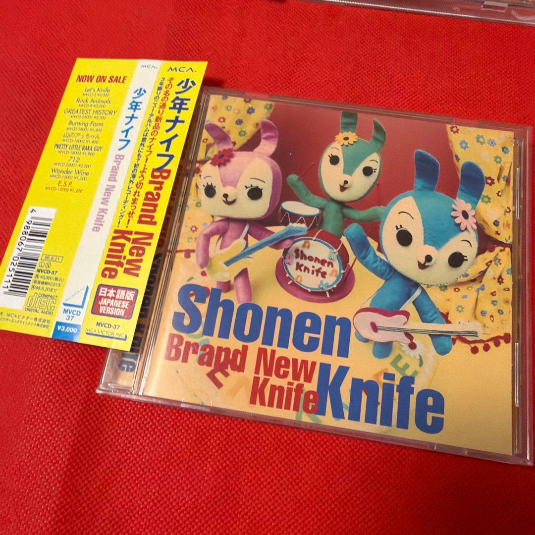 少年ナイフ　CDアルバム9枚　シングル１枚　10作品セット　まとめ売り