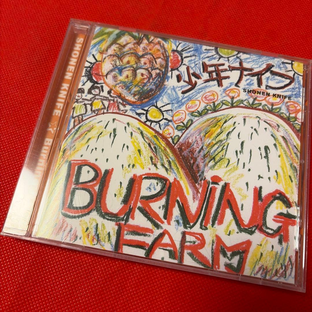 少年ナイフ　CDアルバム9枚　シングル１枚　10作品セット　まとめ売り