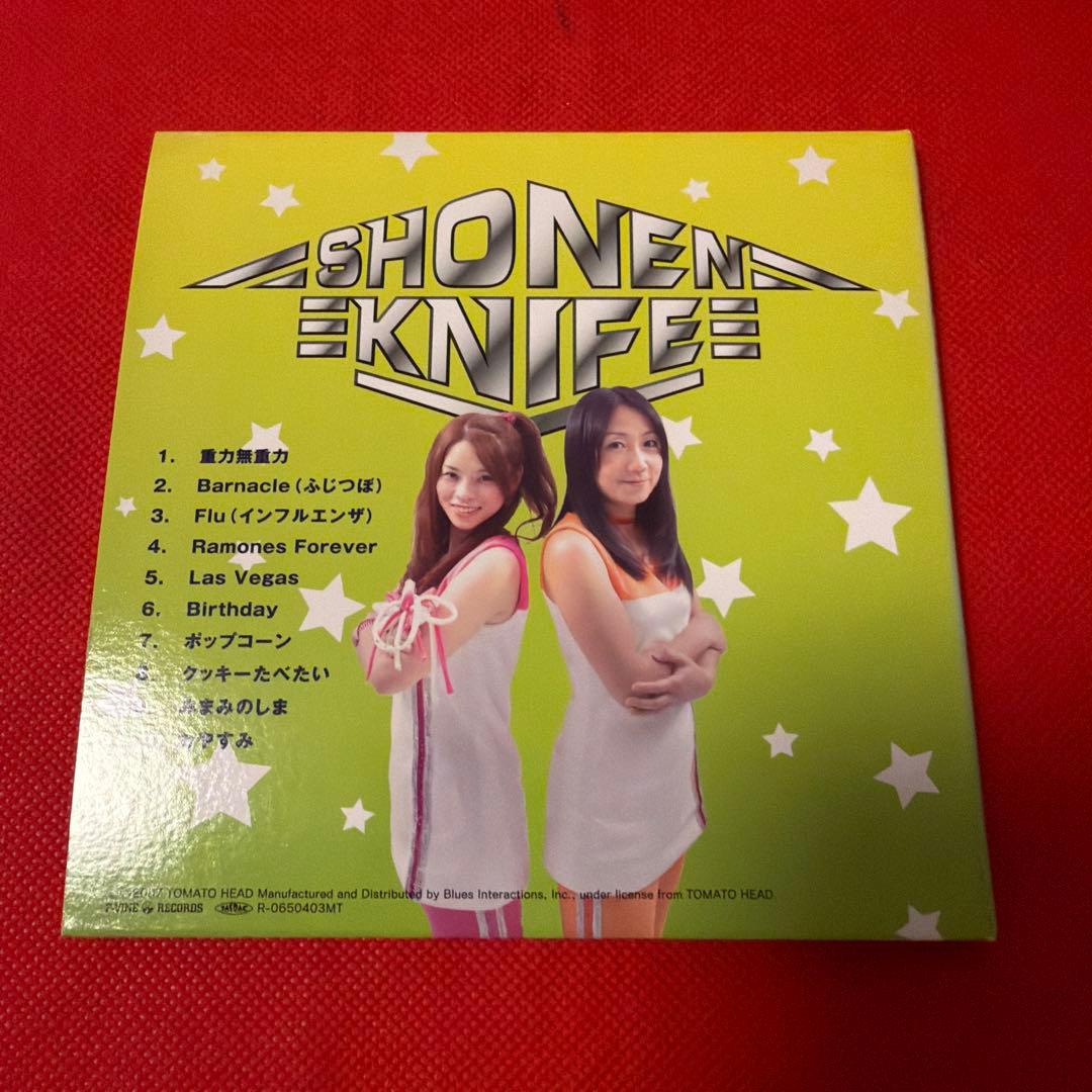 少年ナイフ　CDアルバム9枚　シングル１枚　10作品セット　まとめ売り