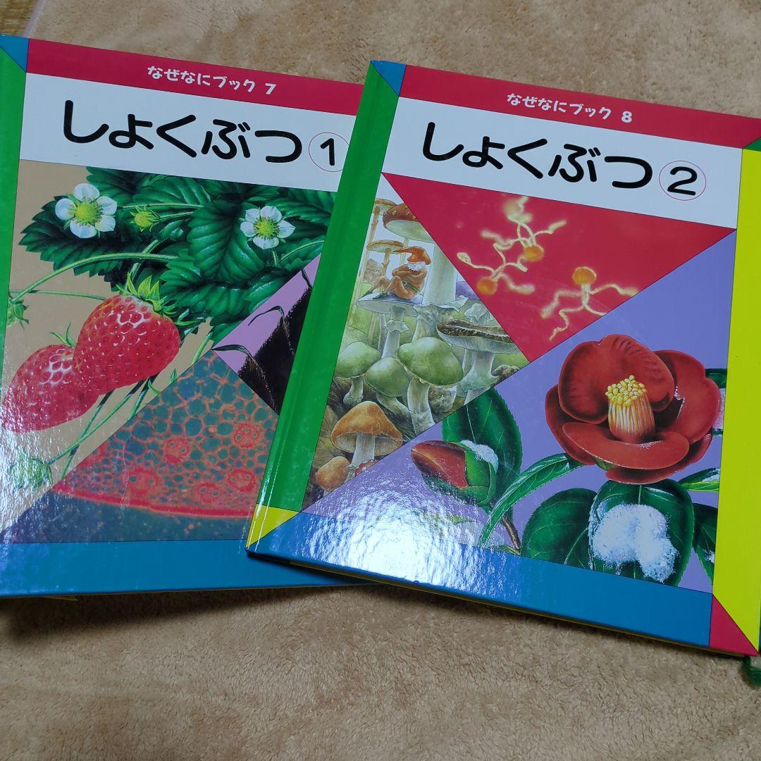 家庭保育園　なぜなにブック 全22冊　絵本　知育教材