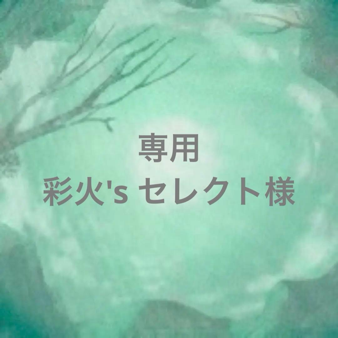 ④専用ページ 彩火's セレクト@プロフ必読・代行×様