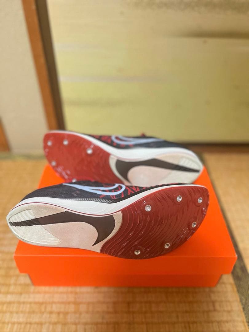 NIKE DRAGONFIY BTC 26.0cm 【ナイキ ドラゴンフライ】