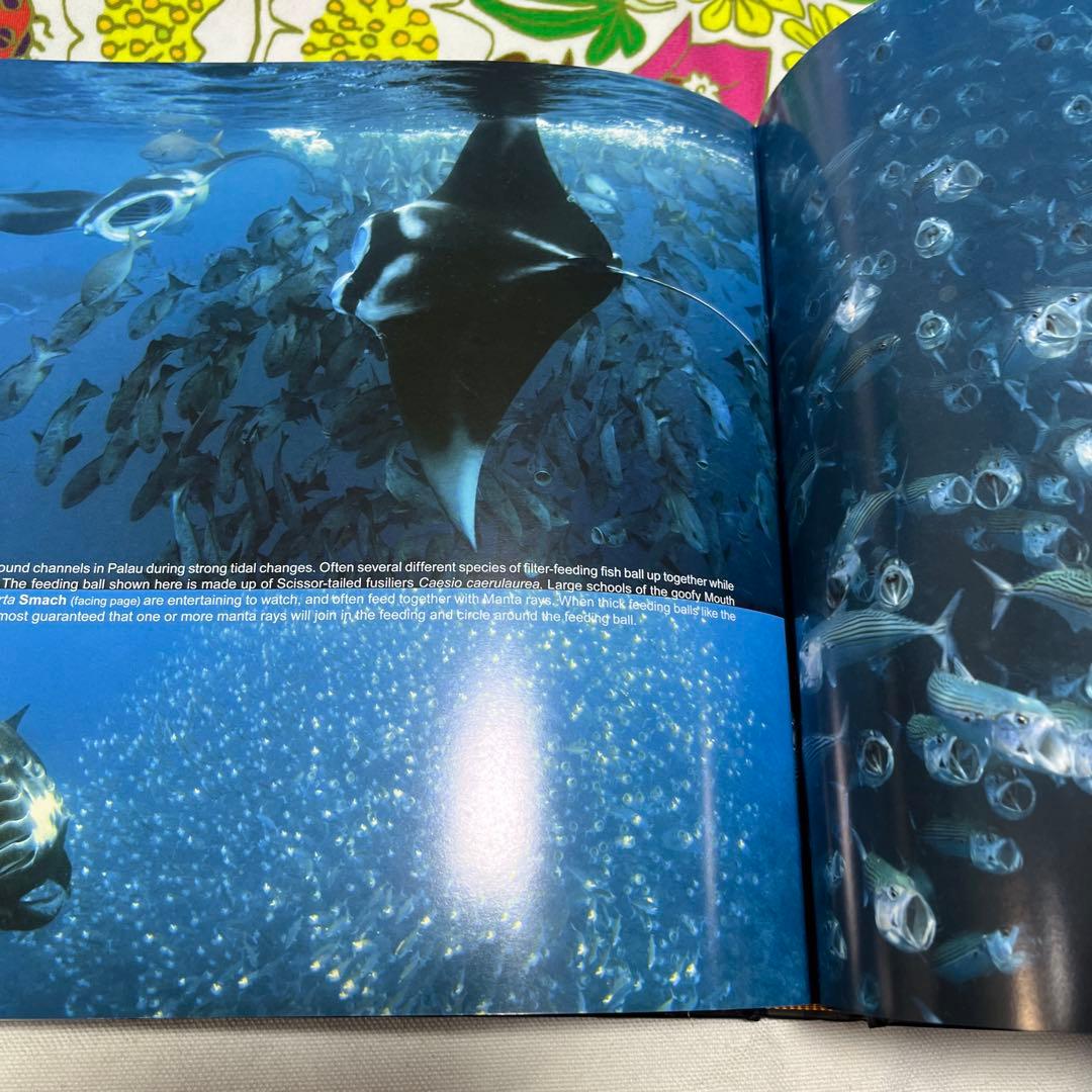 新品未使用希少パラオ共和国の生き物魚達の図鑑大型写真集